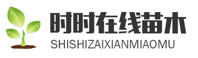 泰安市時時在線農(nóng)業(yè)科技有限公司